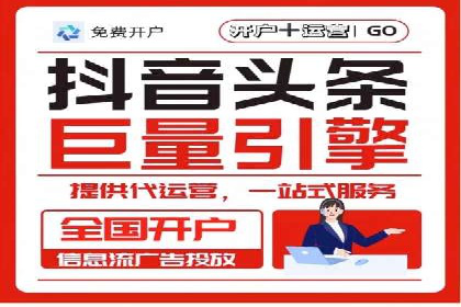 百度竞价账户托管成功案例，揭秘广告投放秘诀